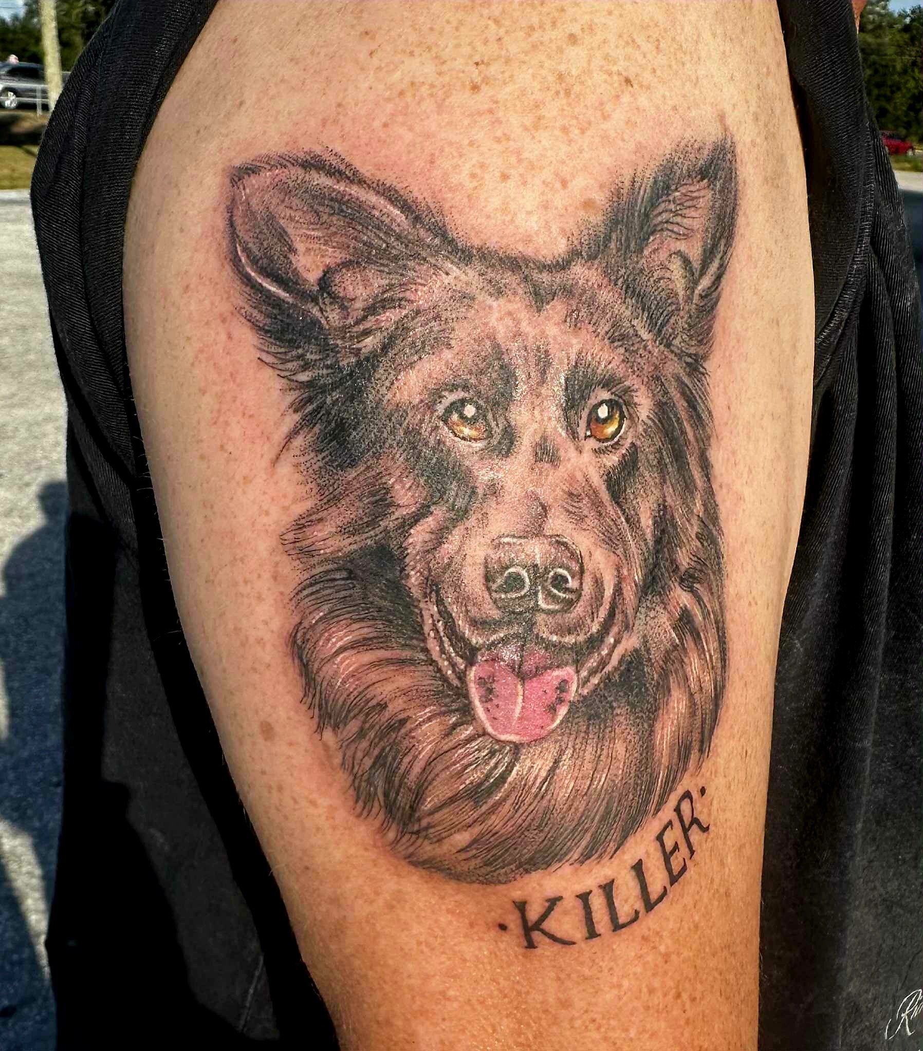 Dog Portrait.jpeg