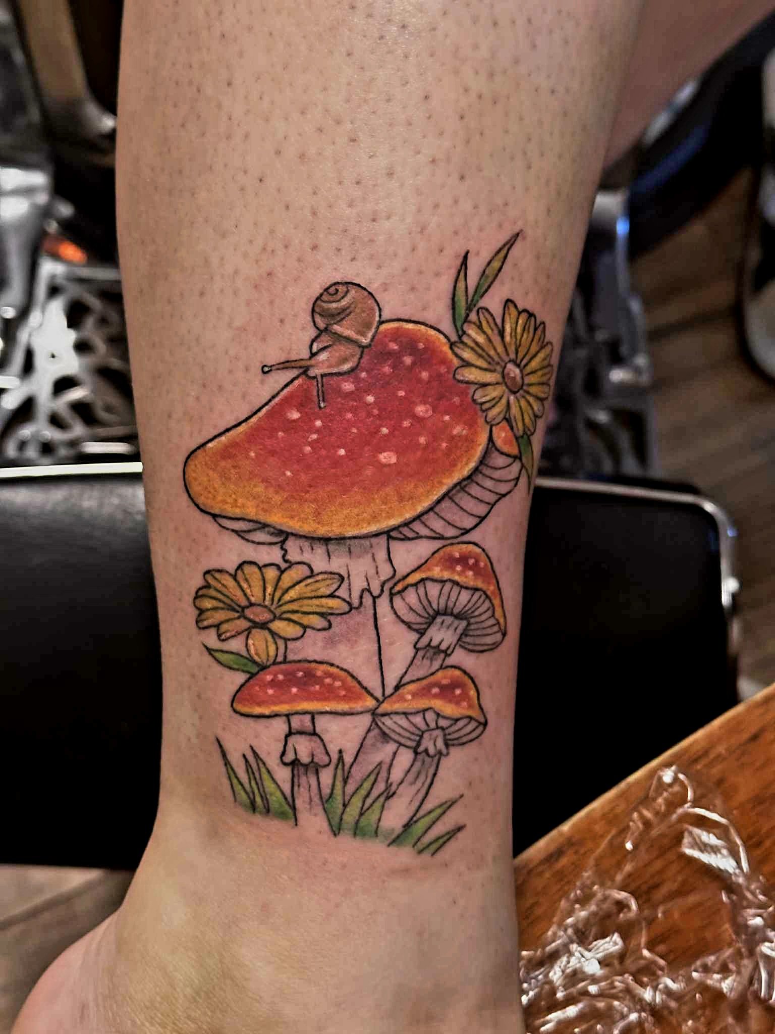 Toadstool.jpeg