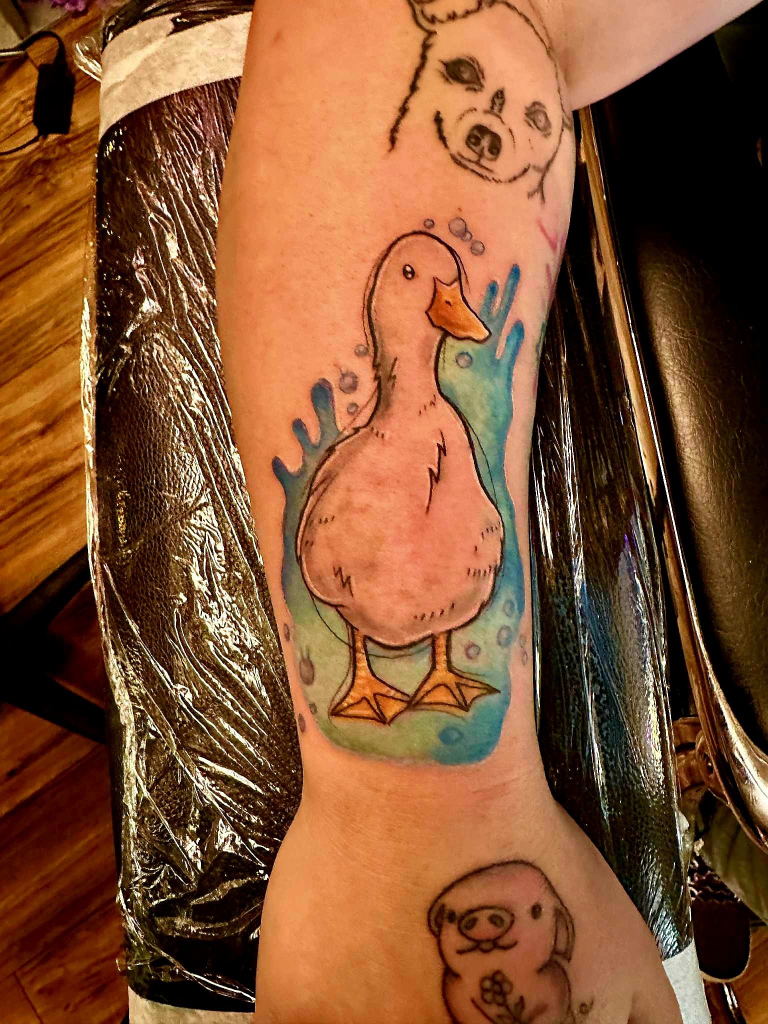 Duck.jpeg
