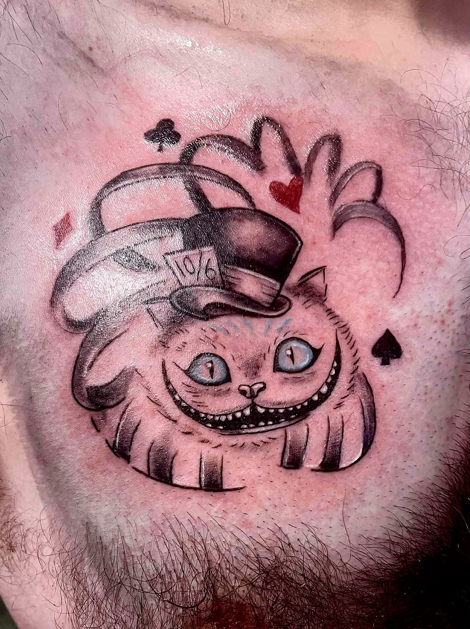 Cheshire Cat.jpeg