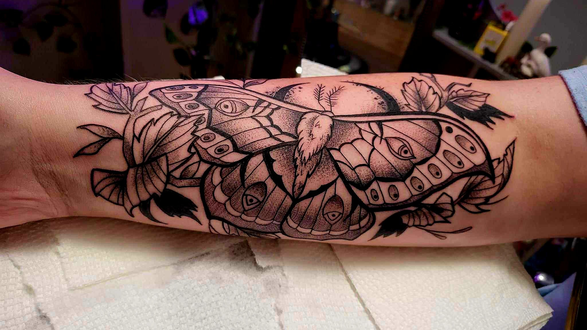 Linework Moth.jpeg