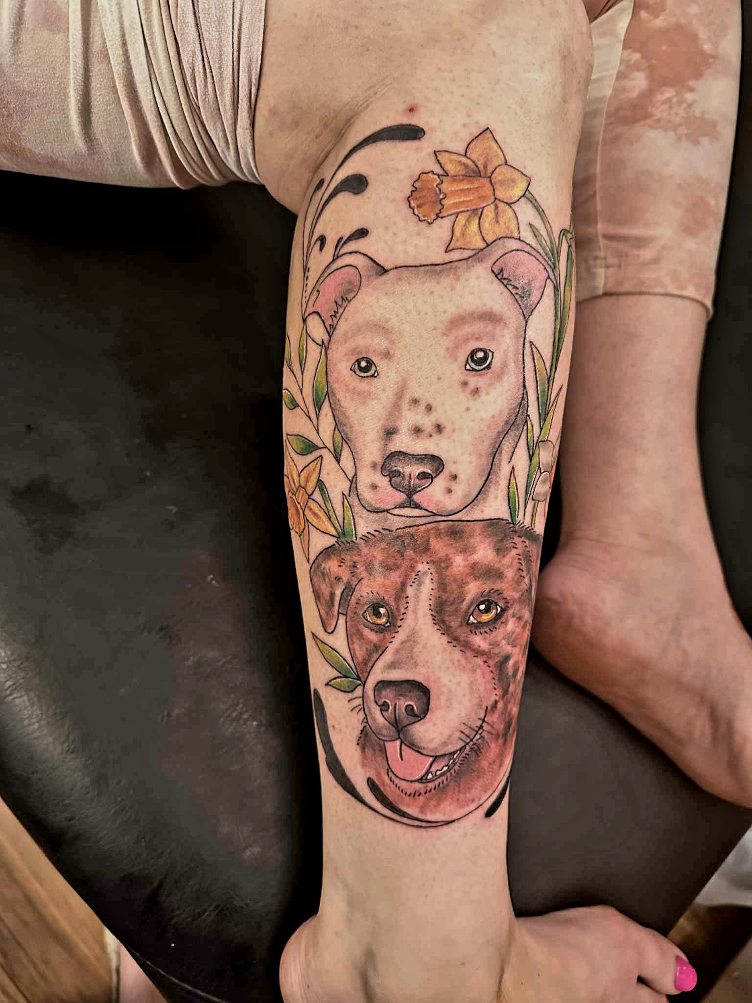 Dogs.jpeg
