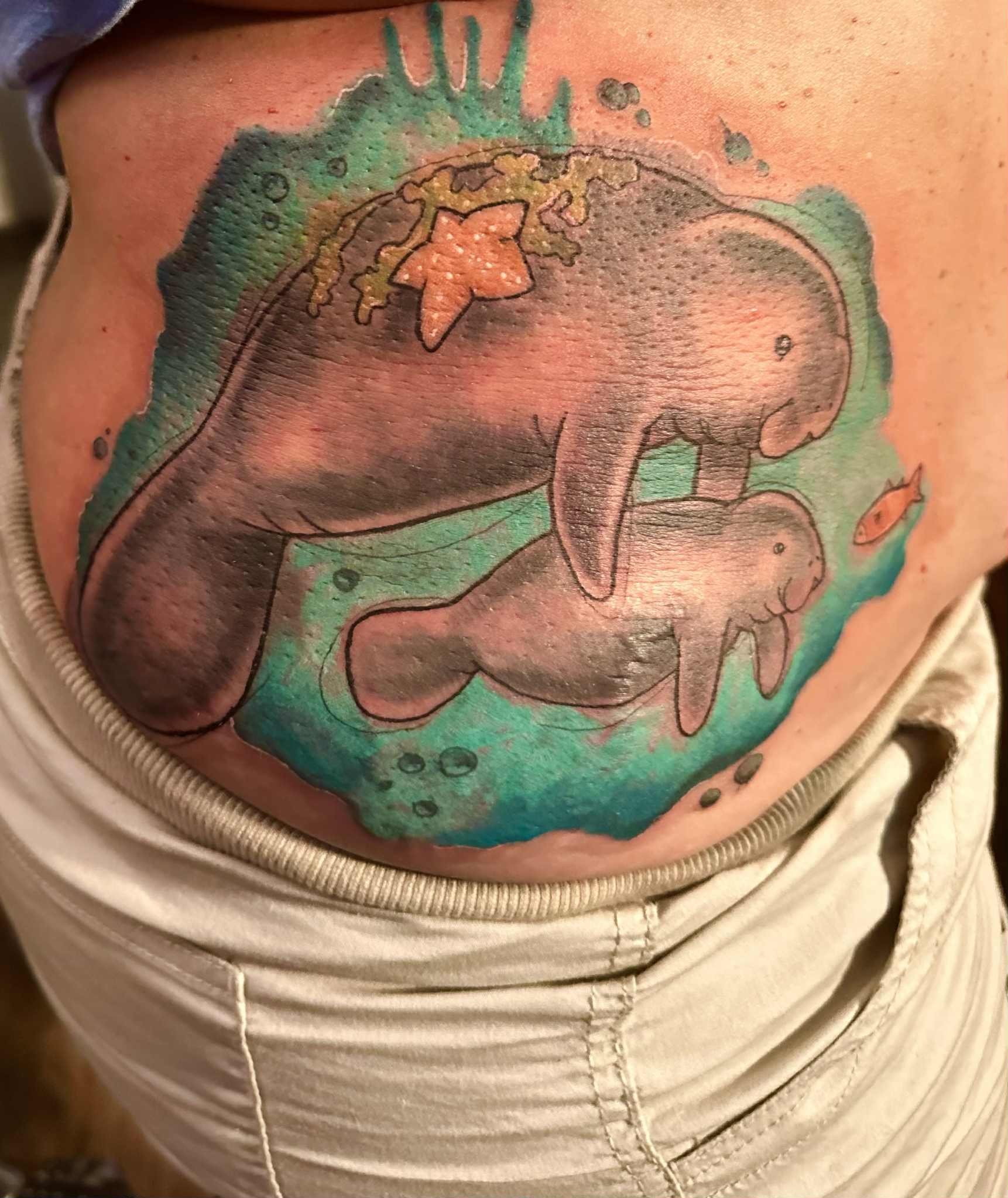 Manatees.jpeg
