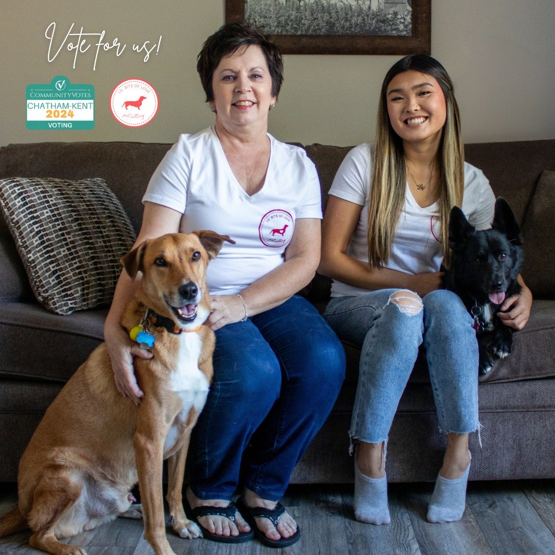 🗳️📣 VOTE FOR US 🗳️📣

I&rsquo;m so excited to share that Lil' Bits of Love Pet Sitting has been nominated for the Chatham CommunityVotes 2024! 🏆 Caring for your pets is such a rewarding experience, and being recognized by our community means a lo