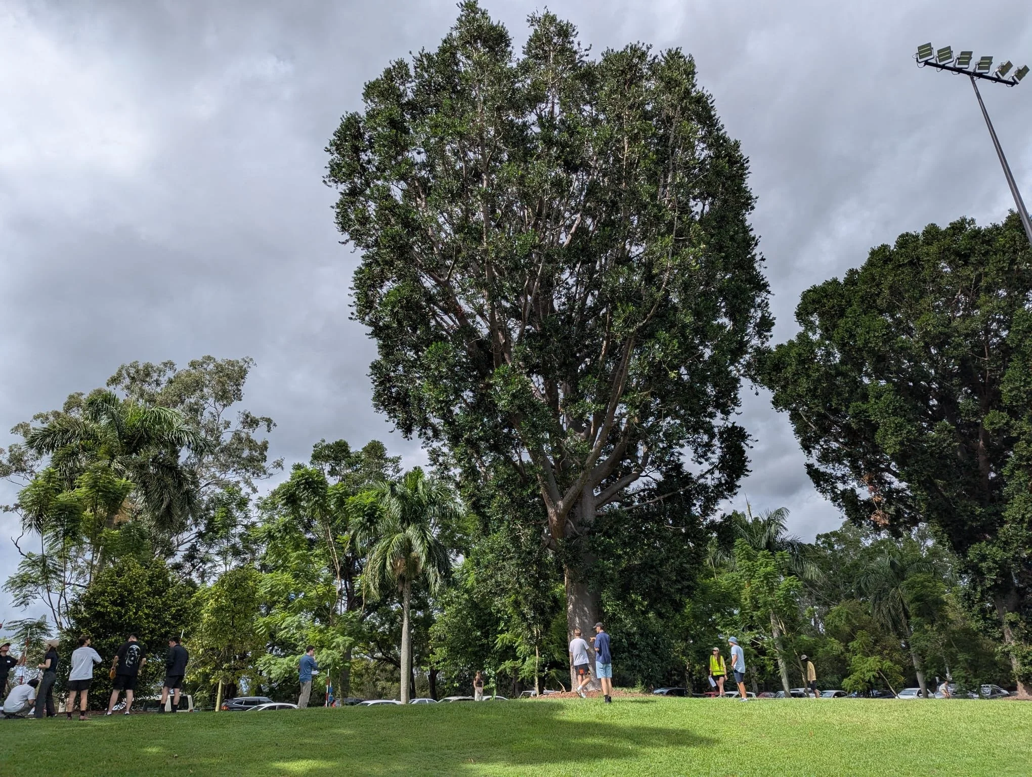 Students taking field measurements