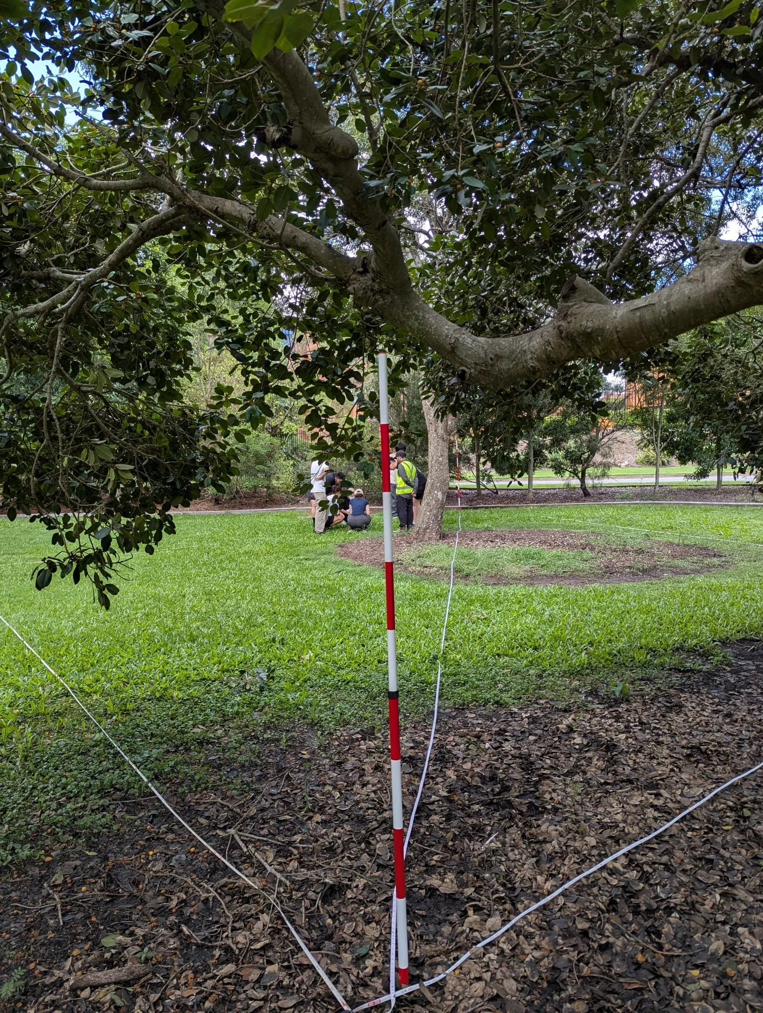 Earth Observation Students Gain Hands‑On Experience in the Field