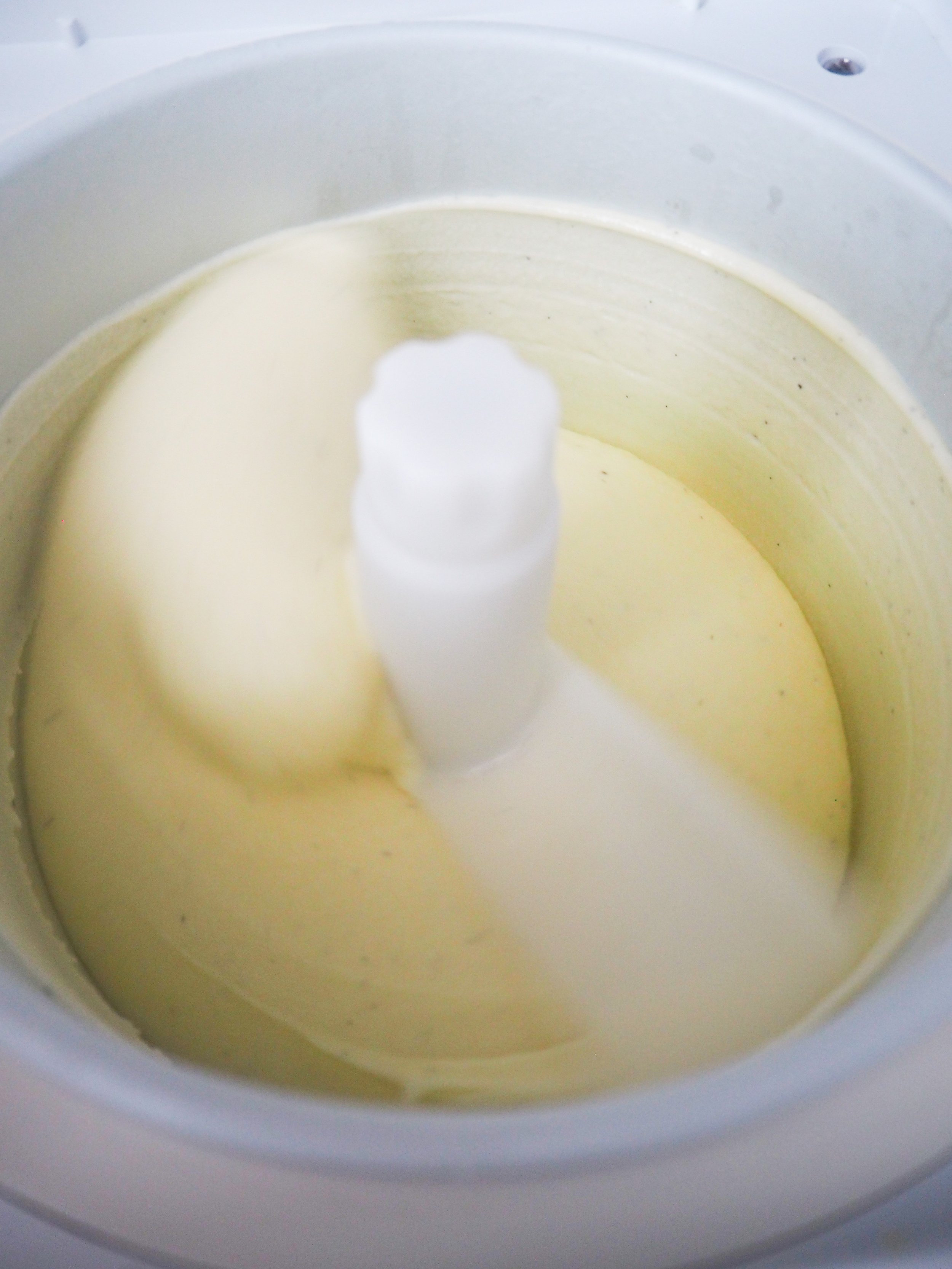 vanillaicecream_8.jpg