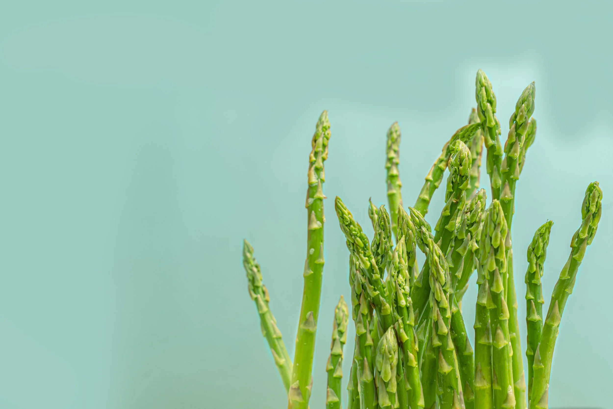 Fresh green asparagus stalks against a light blue background.