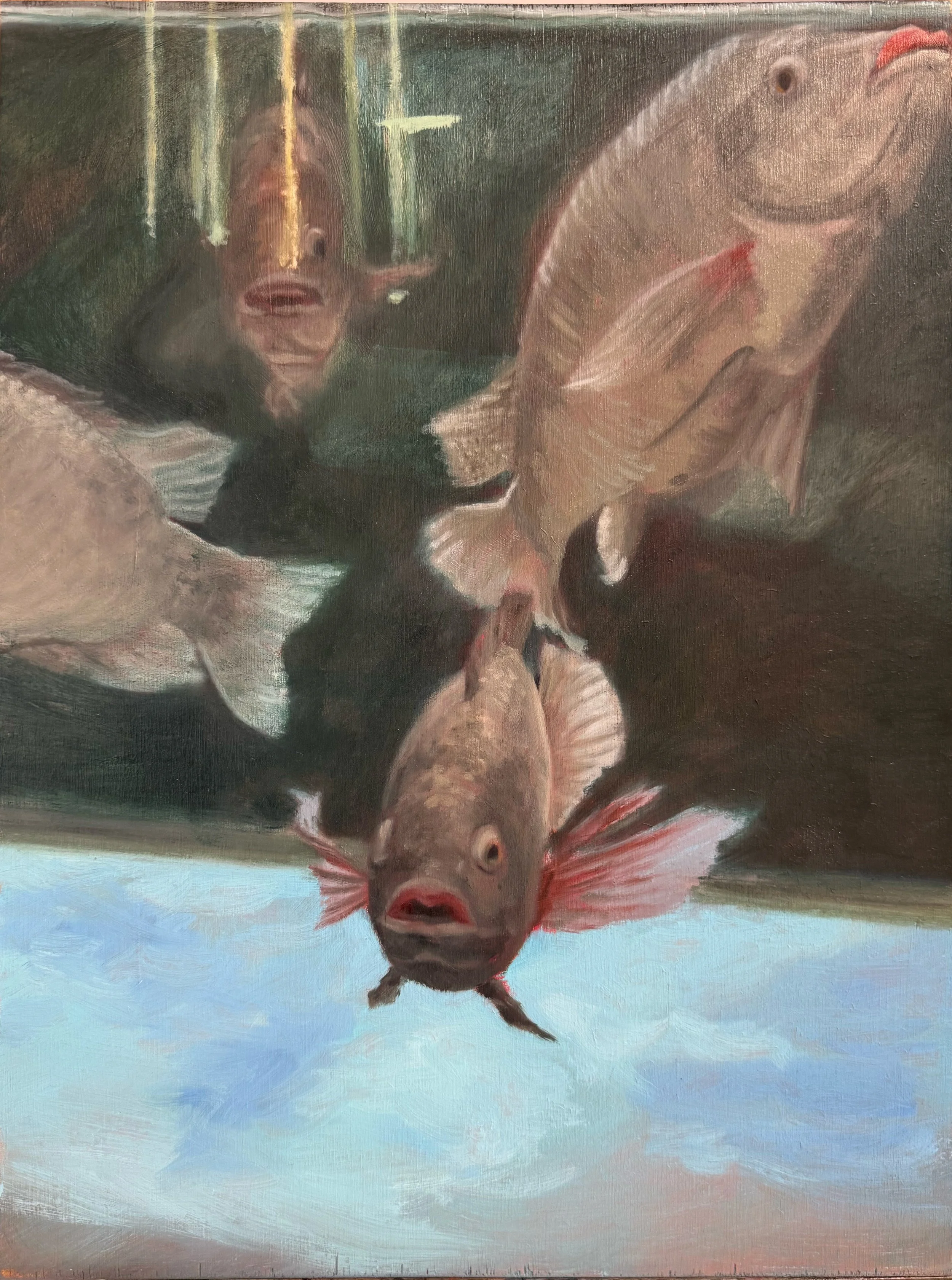 kowloon market fishies.jpg