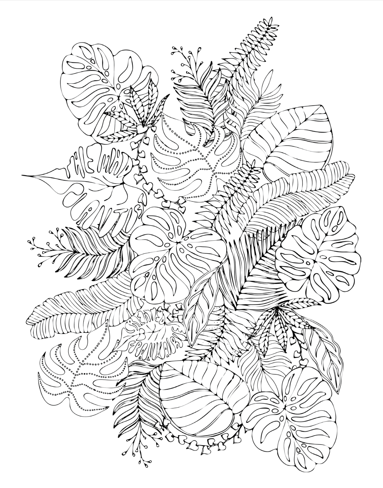 Screen Shot 2024-09-13 at 6.14.28 PM.png