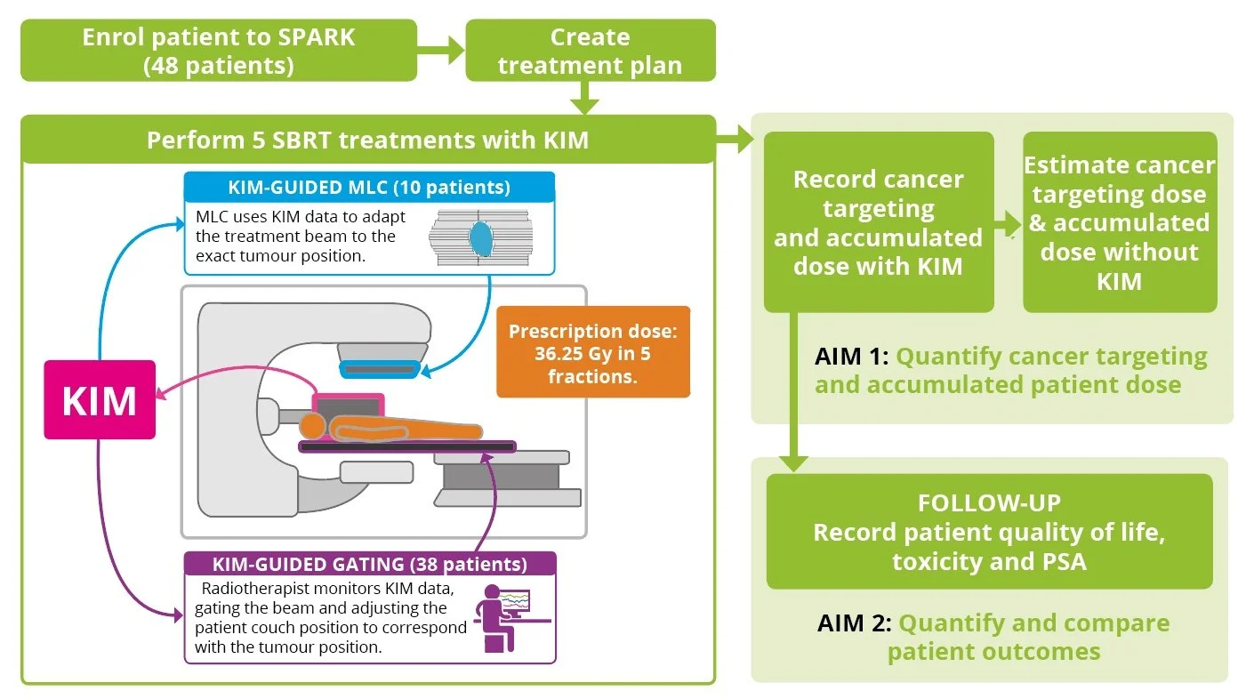 SPARK poster figure 2-2.jpeg