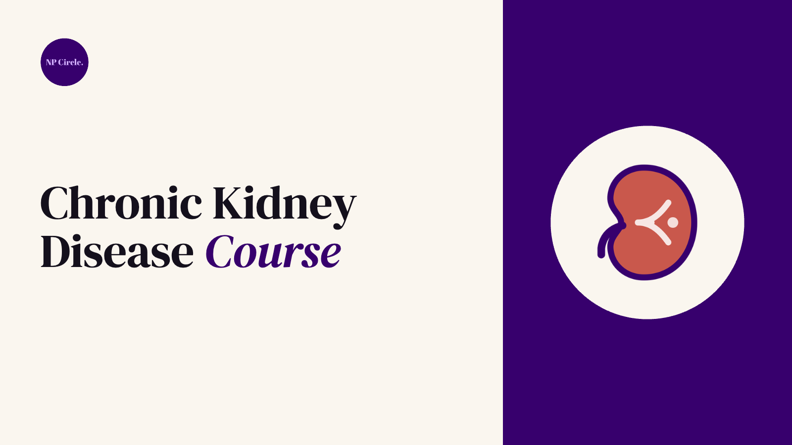 Chronic Kidney Disease Course