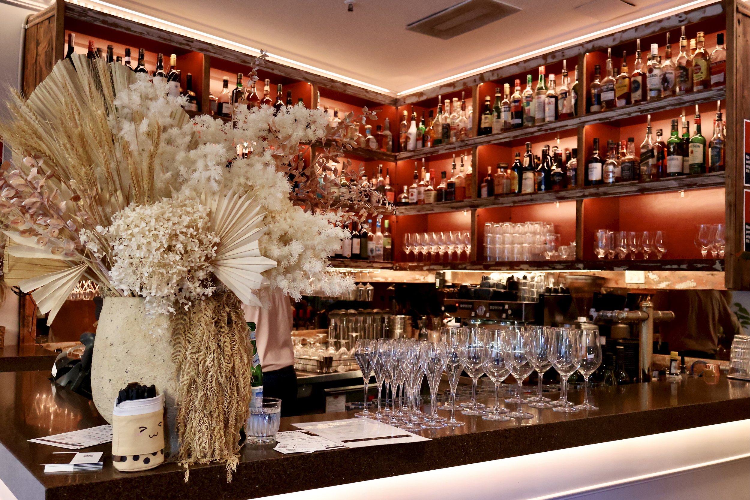 Wellspring Launch Party 🎉 