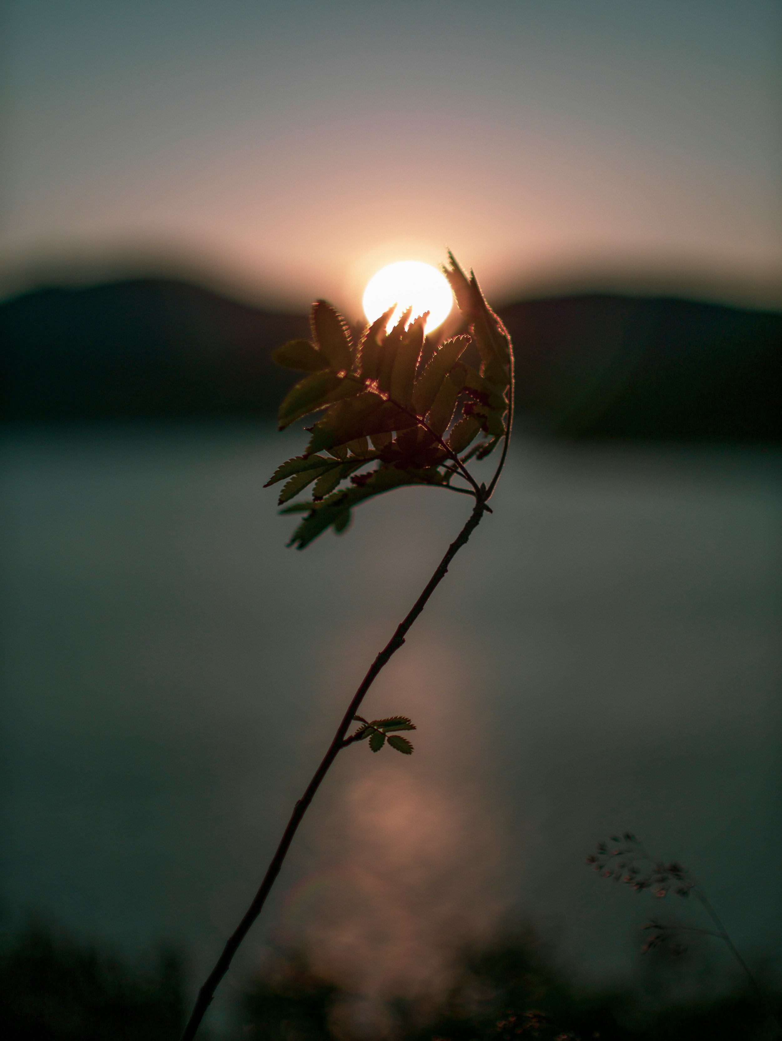 Self Leadership & Performance Coaching