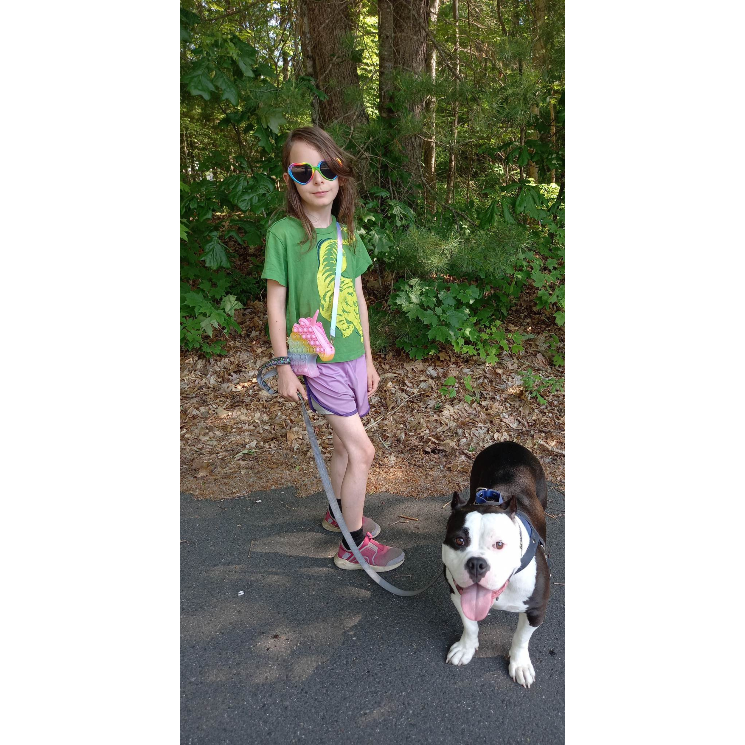 Child holding a black and white bully dog on leash outdoors, smiling and engaged on a wooded path