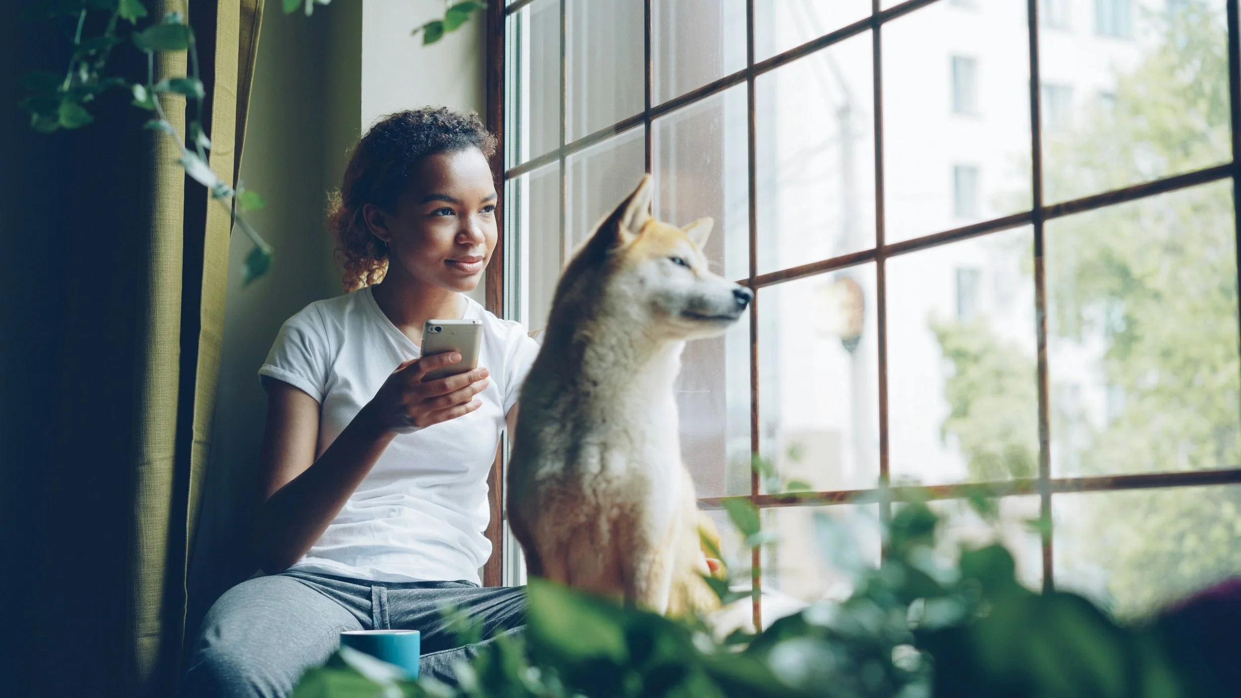 human and shiba inu sit by a window together. the human has beautiful dark skin and curly hair and holds a phone in her hand. they both look happy.