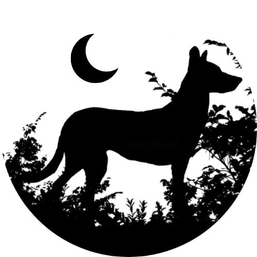 Heeling With Nature logo
