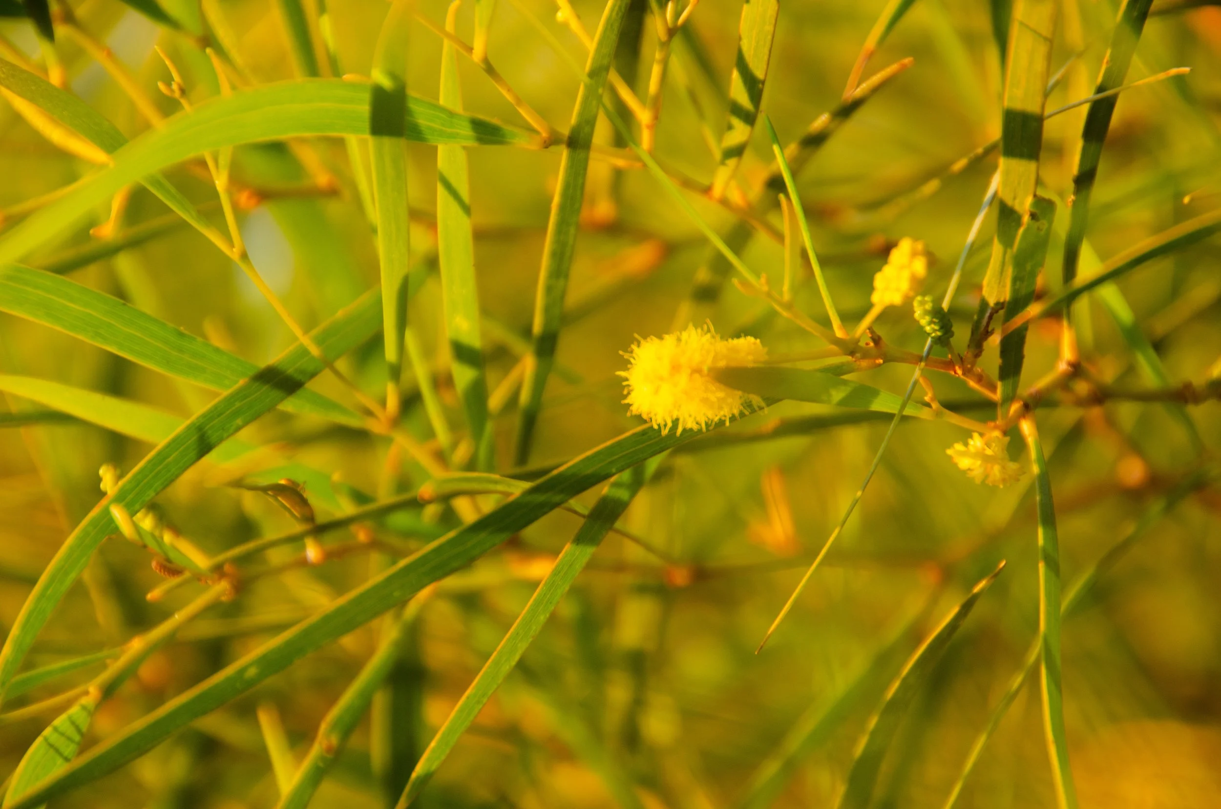 Recruitment and human resources (nationally)