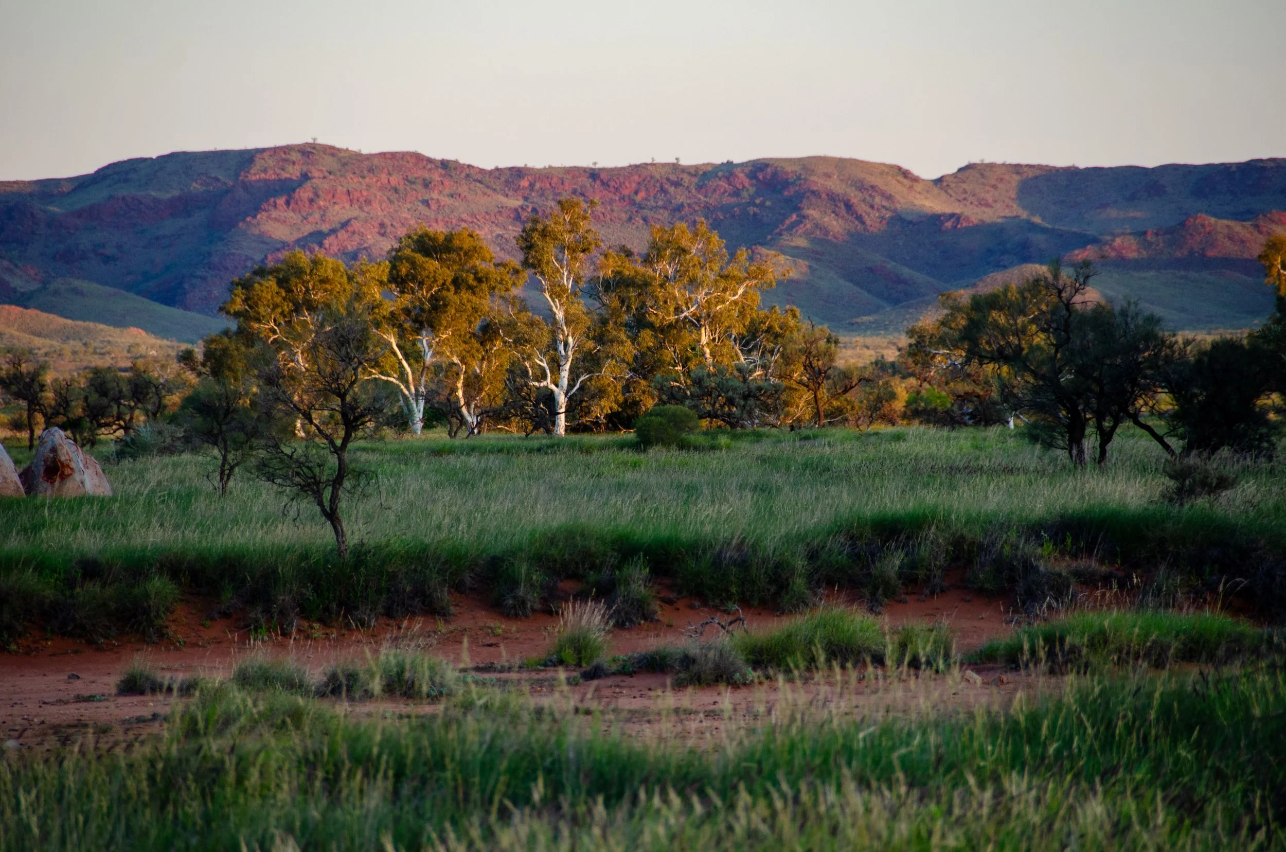 Art and cultural data: analysis and report