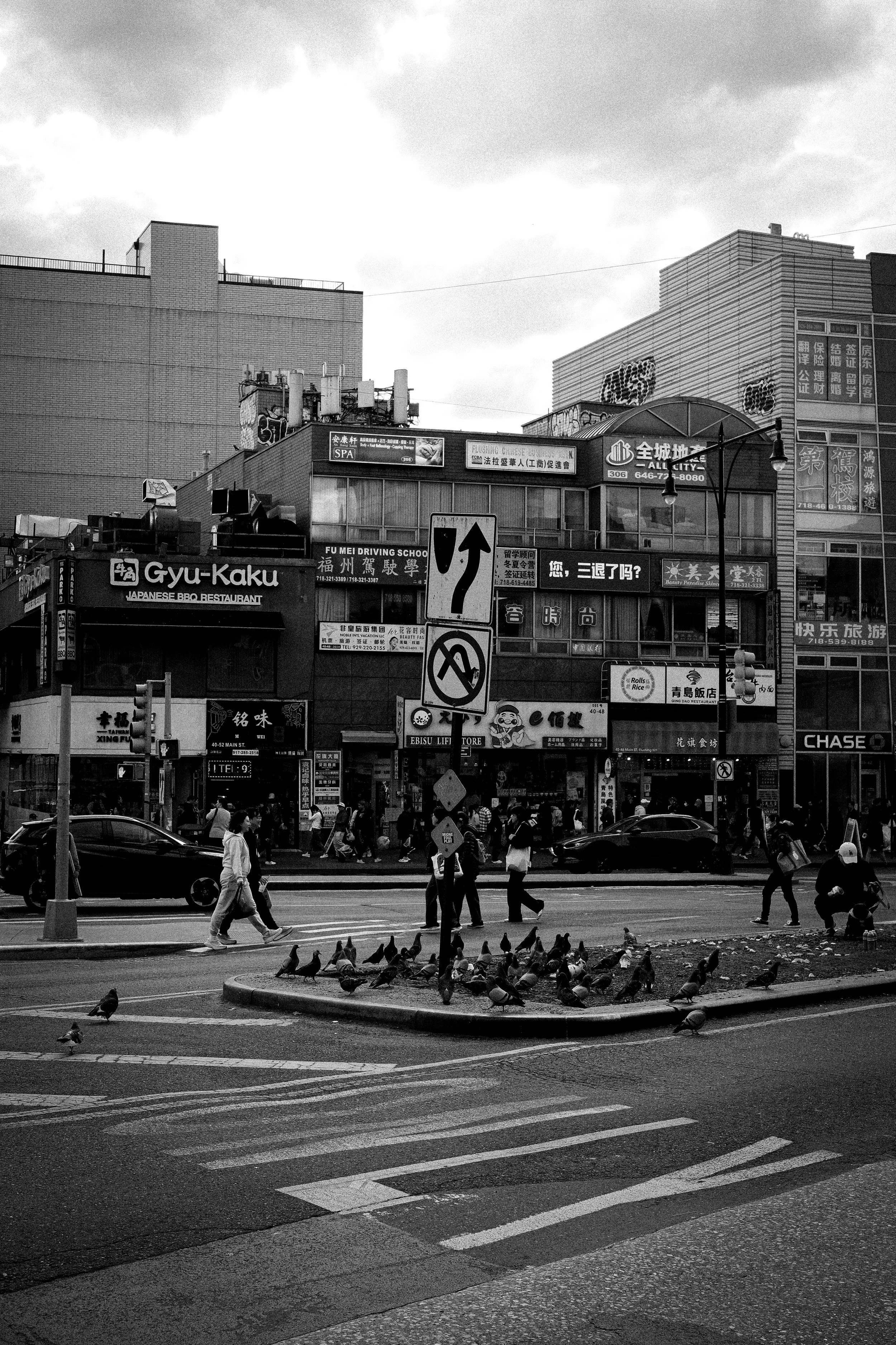 5.Pigeons.jpg