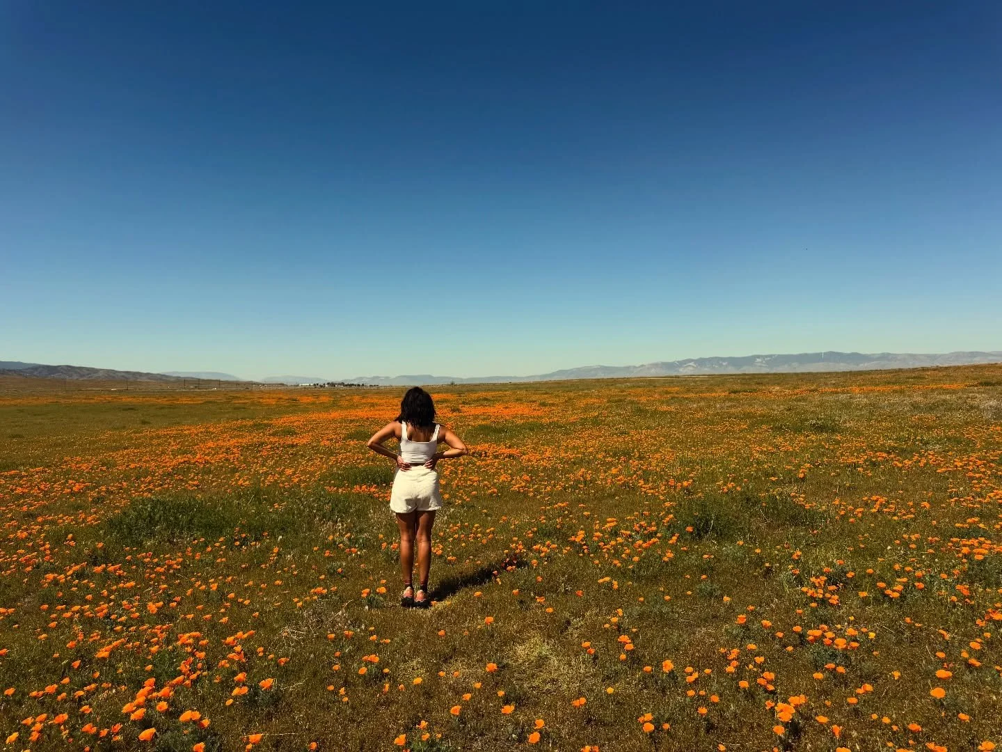 I wasn&rsquo;t made for paying taxes! 
I was made for playing outside!

THAT SAID to all my friends at the IRS, I will absolutely be paying my taxes this year!