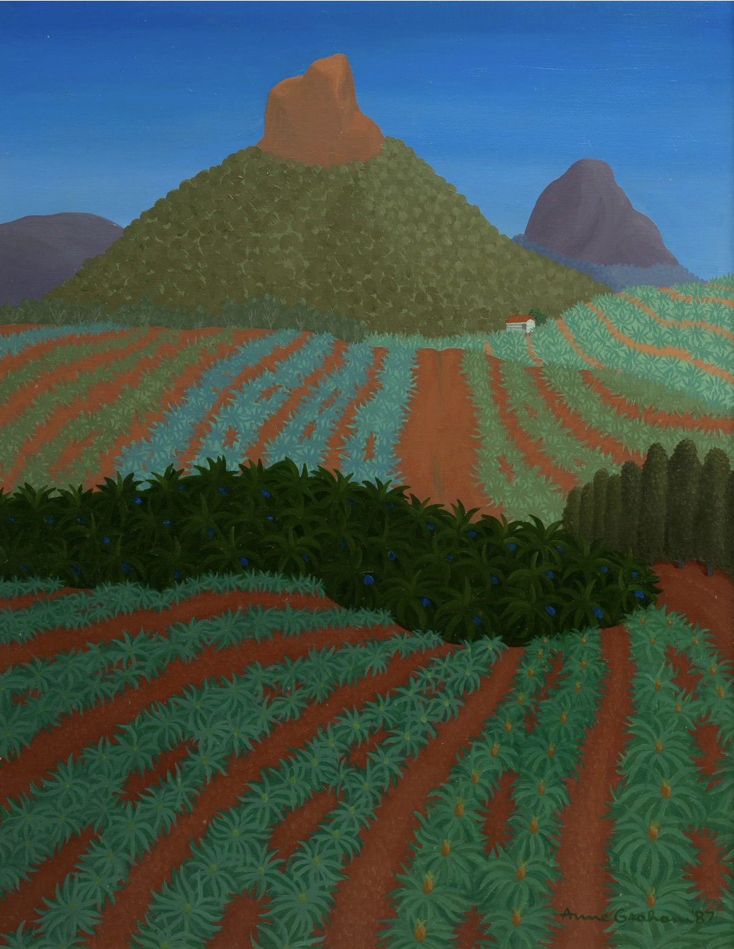   Glass house mountains, Qld   1987 | oil on canvas | 49.5 x 39 cm | c/- Davidsons auctions  