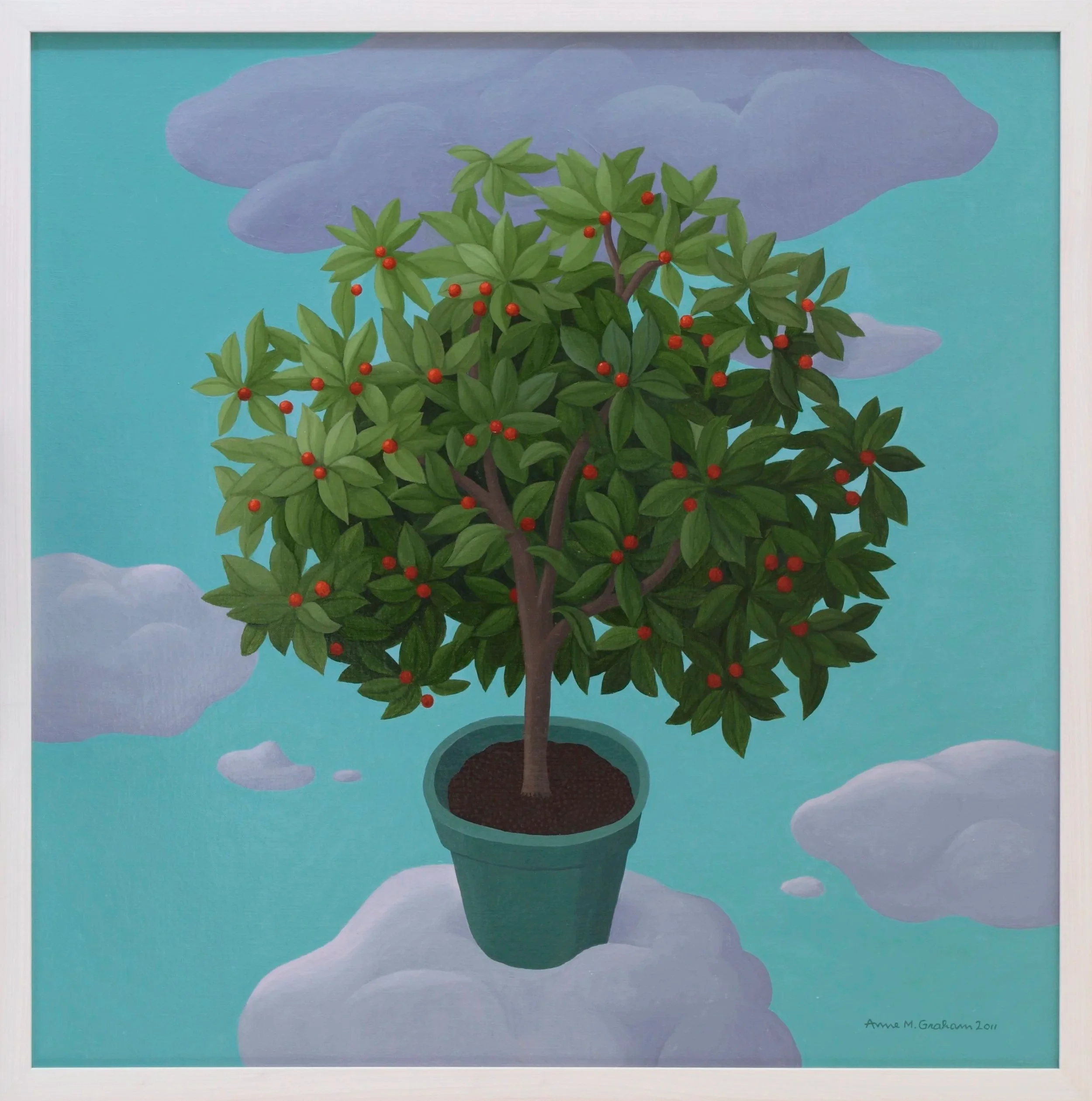  Cumquats and clouds  2011 | oil on canvas | 60 x 60 cm | Collection: Coppin Centre, Freemasons, Melbourne  
