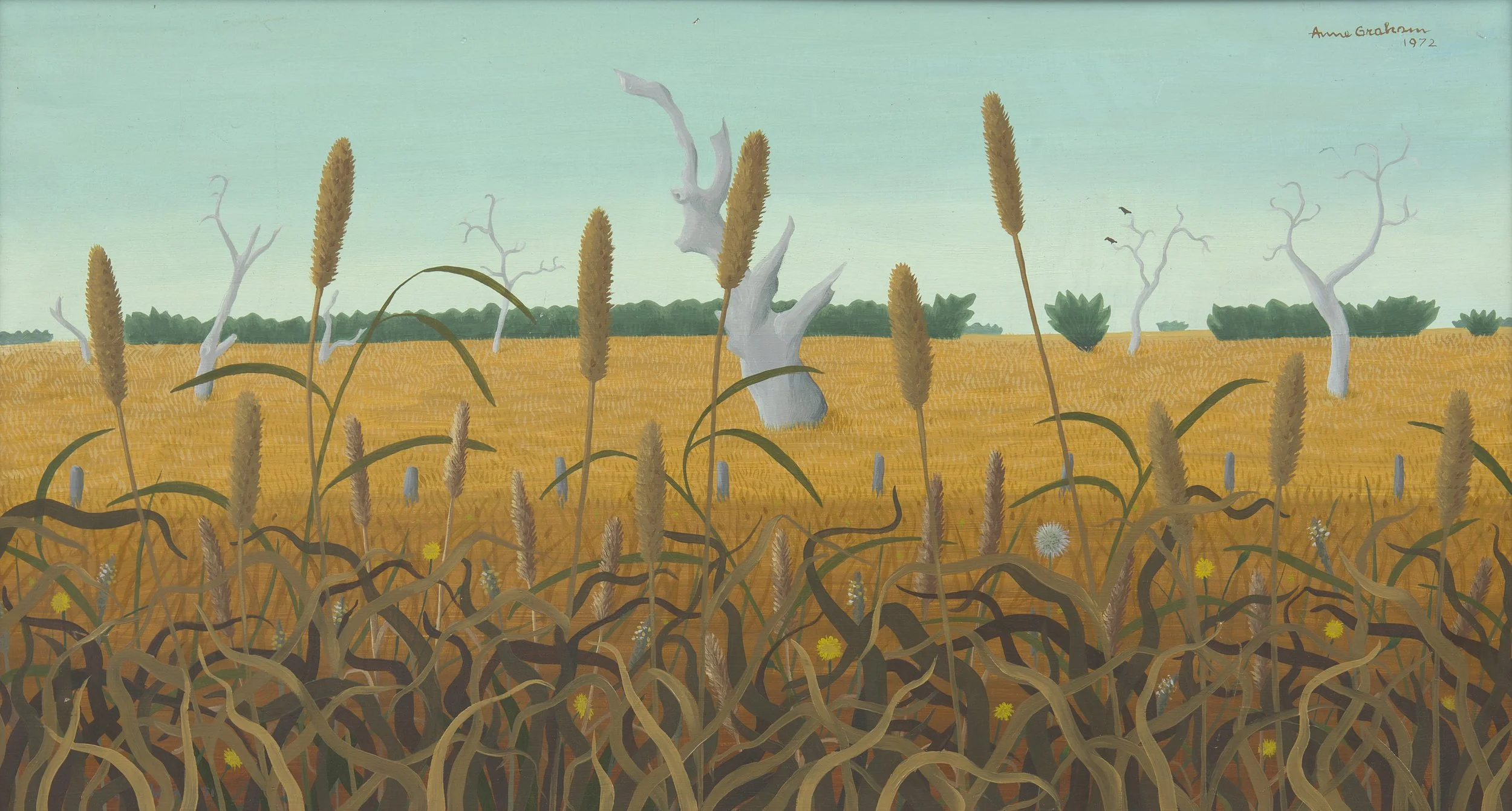  Wheatfield   1972 | oil on canvas | 60 x 90 cm |    c/- Joels auctions  