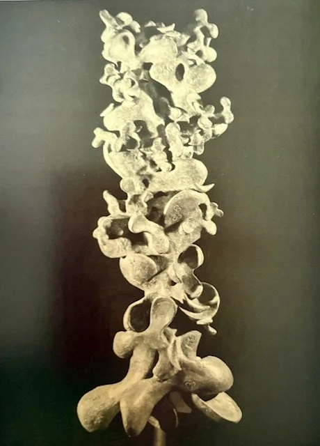   Spring (from the cloverleaf series)   1964 | bronze | 112 x 48.5 cm; McClelland Gallery + Sculpture Park, Victoria  