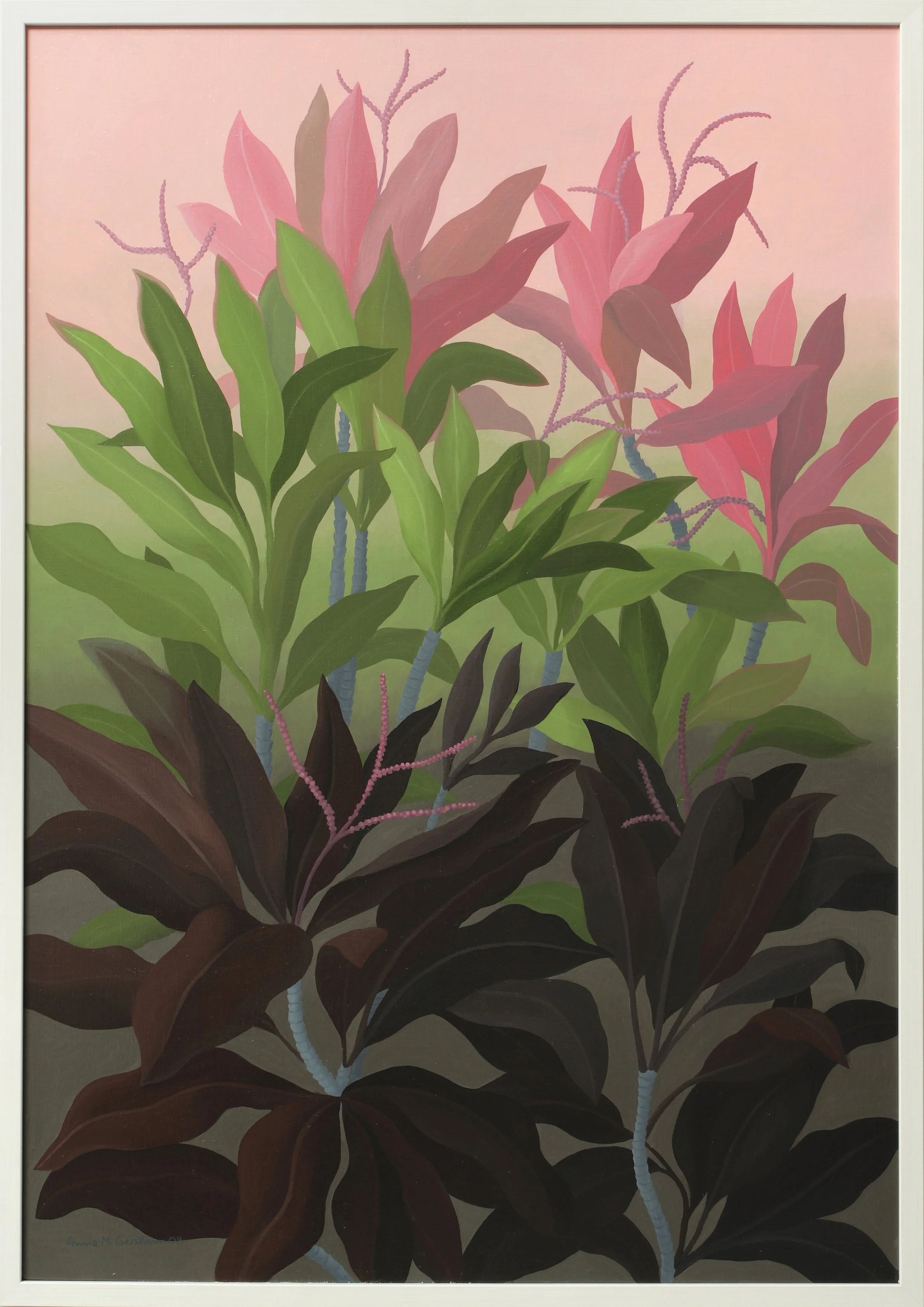  Cordyline  2008 | oil on canvas | app.90 x 60 cm | Collection: Coppin Centre, Freemasons, Melbourne  