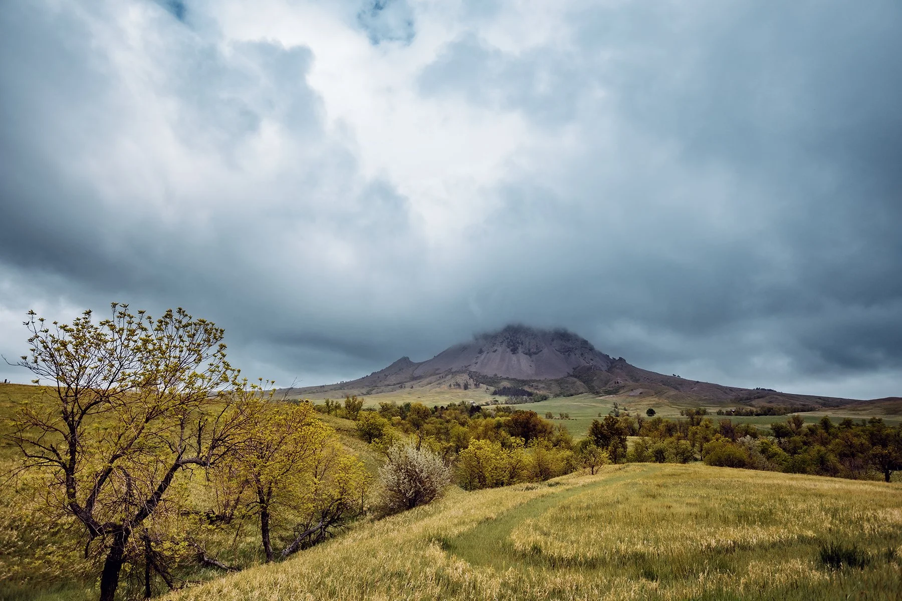 Rising Above the Plains