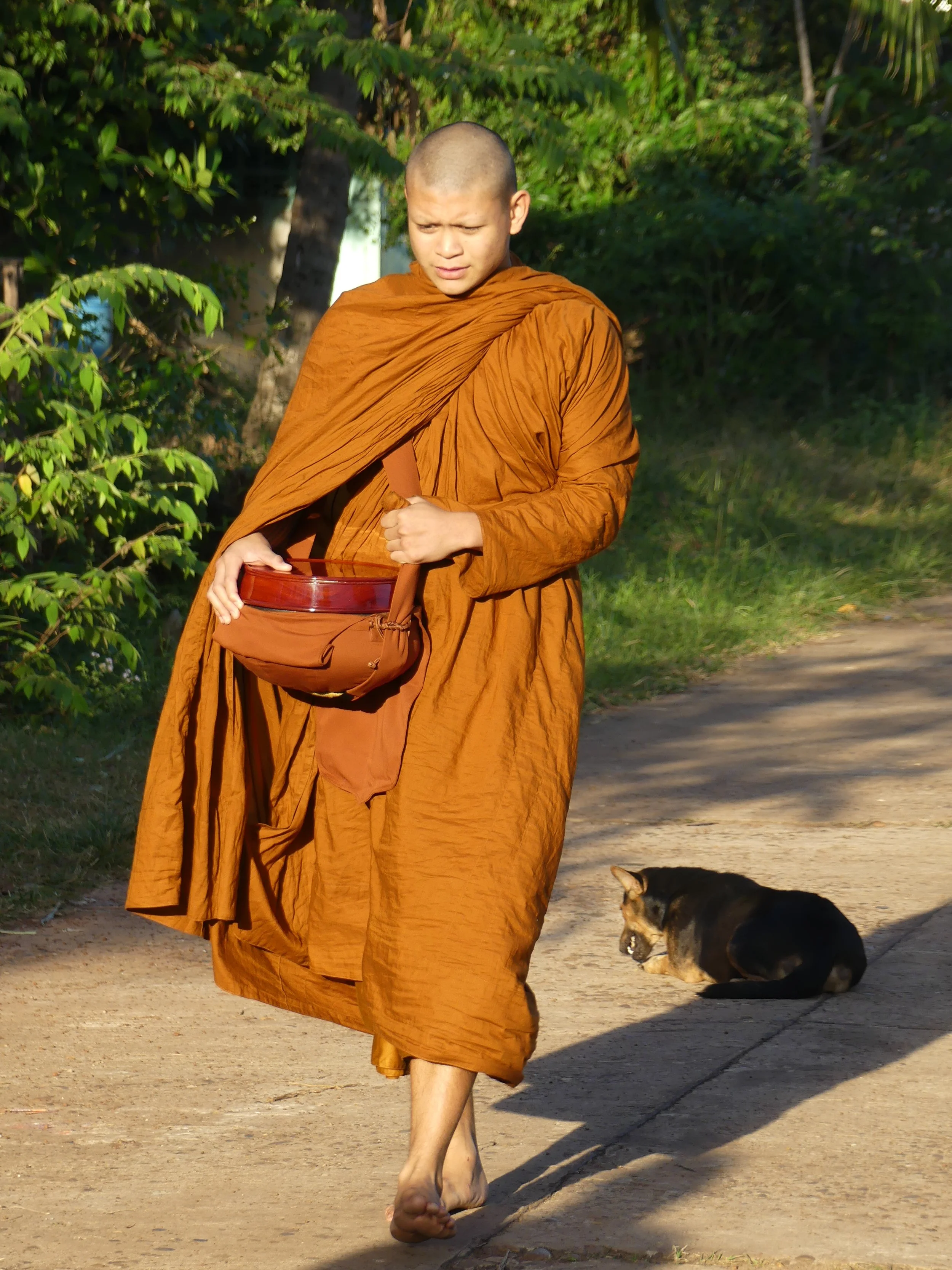 From Jungle Meditation to Macchiatos and Mitts at Boxing Gym 