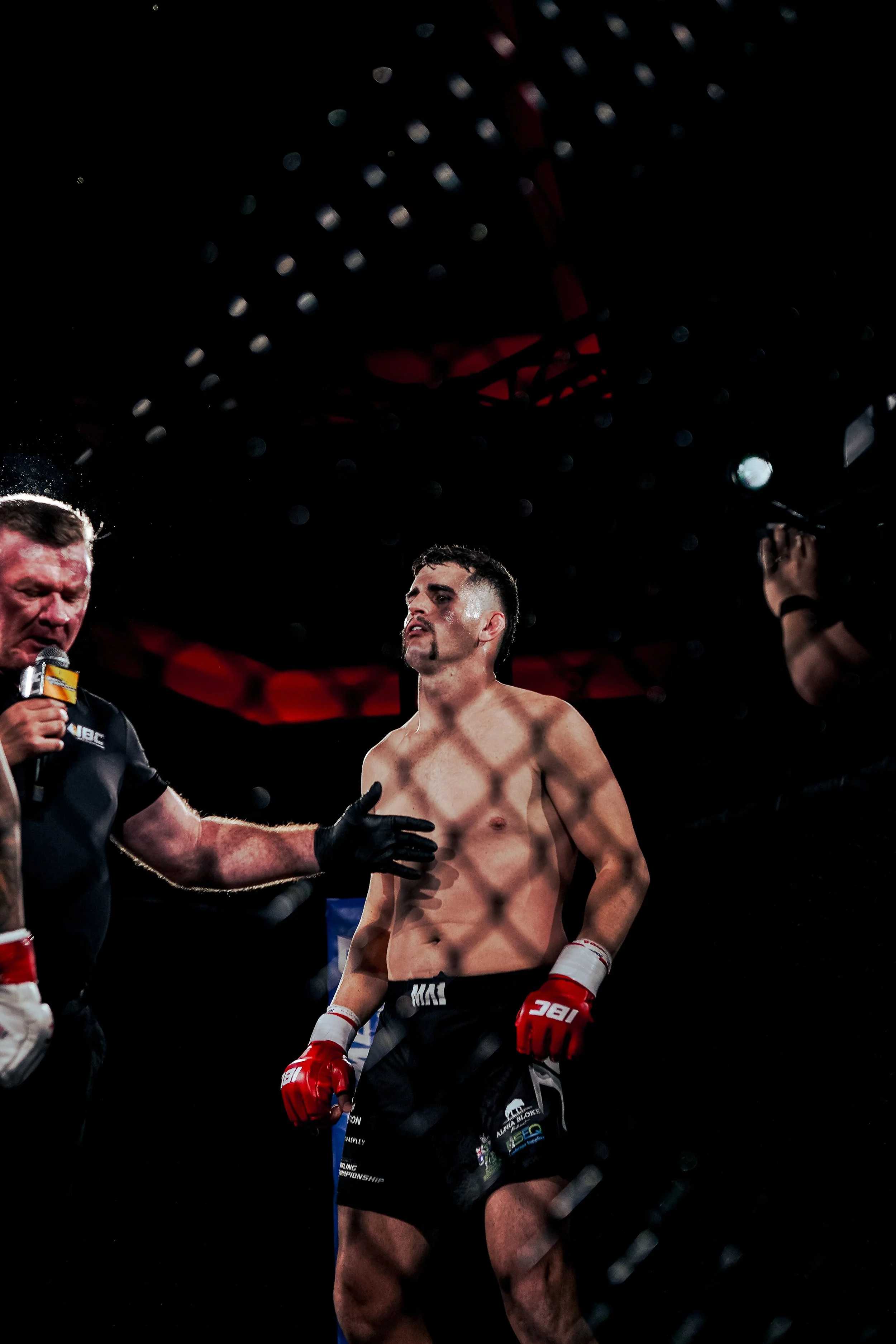IBC 04 Ringside-102.jpg