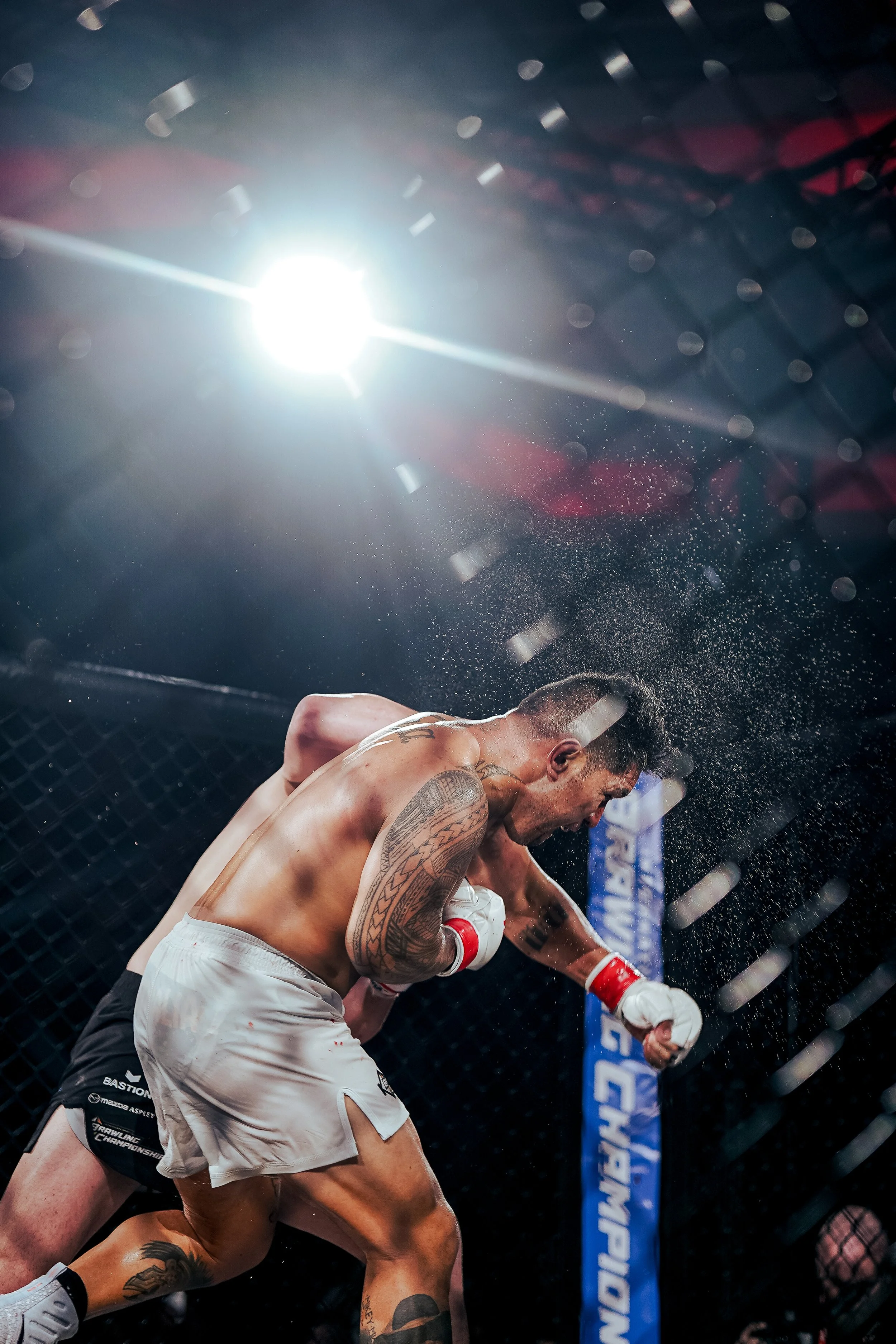 IBC 04 Ringside-48.jpg