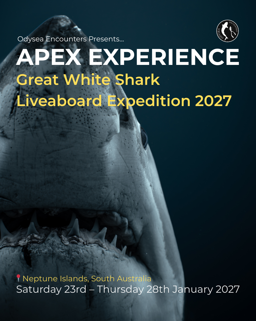 Apex Experience Expedition.png