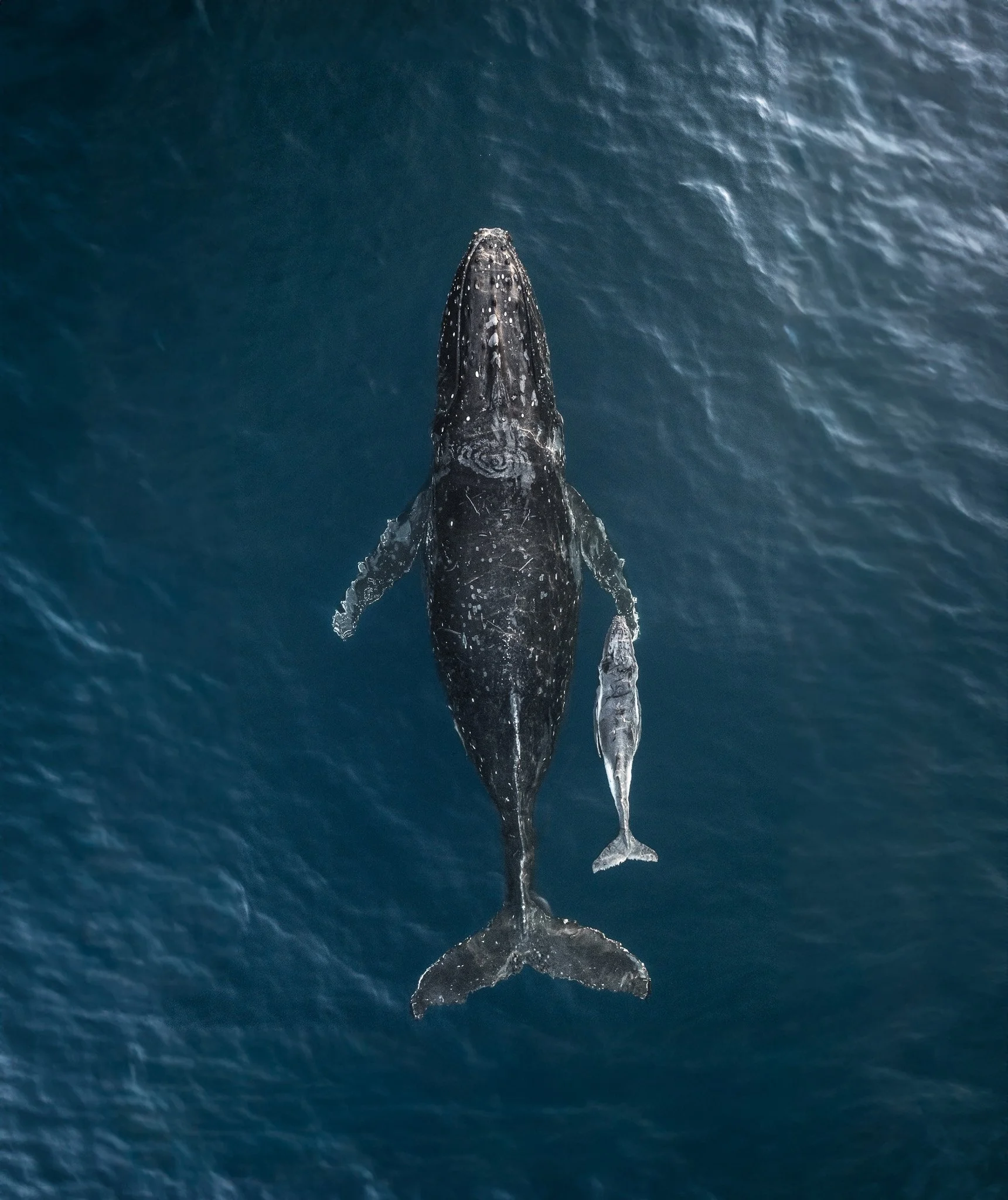 DJI_0728-2.jpg