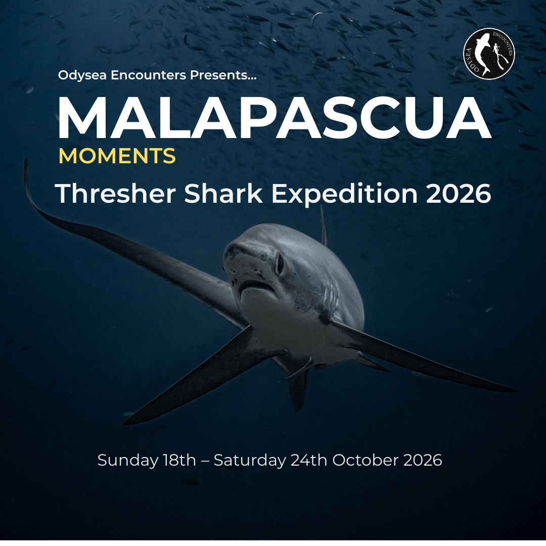 Copy of Malapascua Expedition Carousel.png