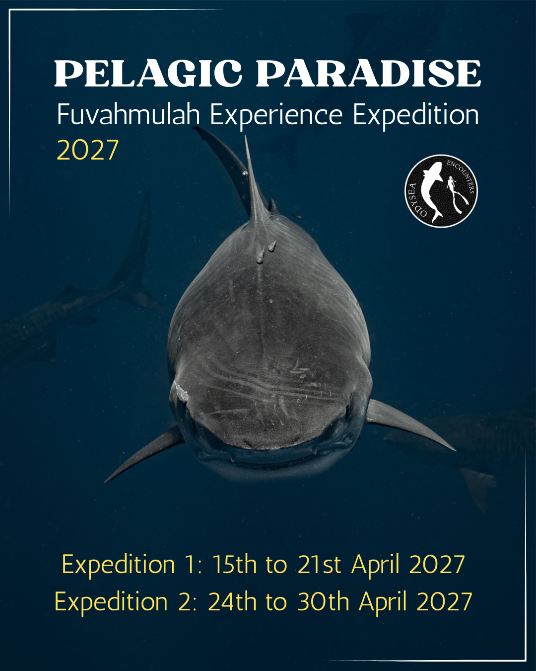 Fuvahmulah Experience Expedition 2027