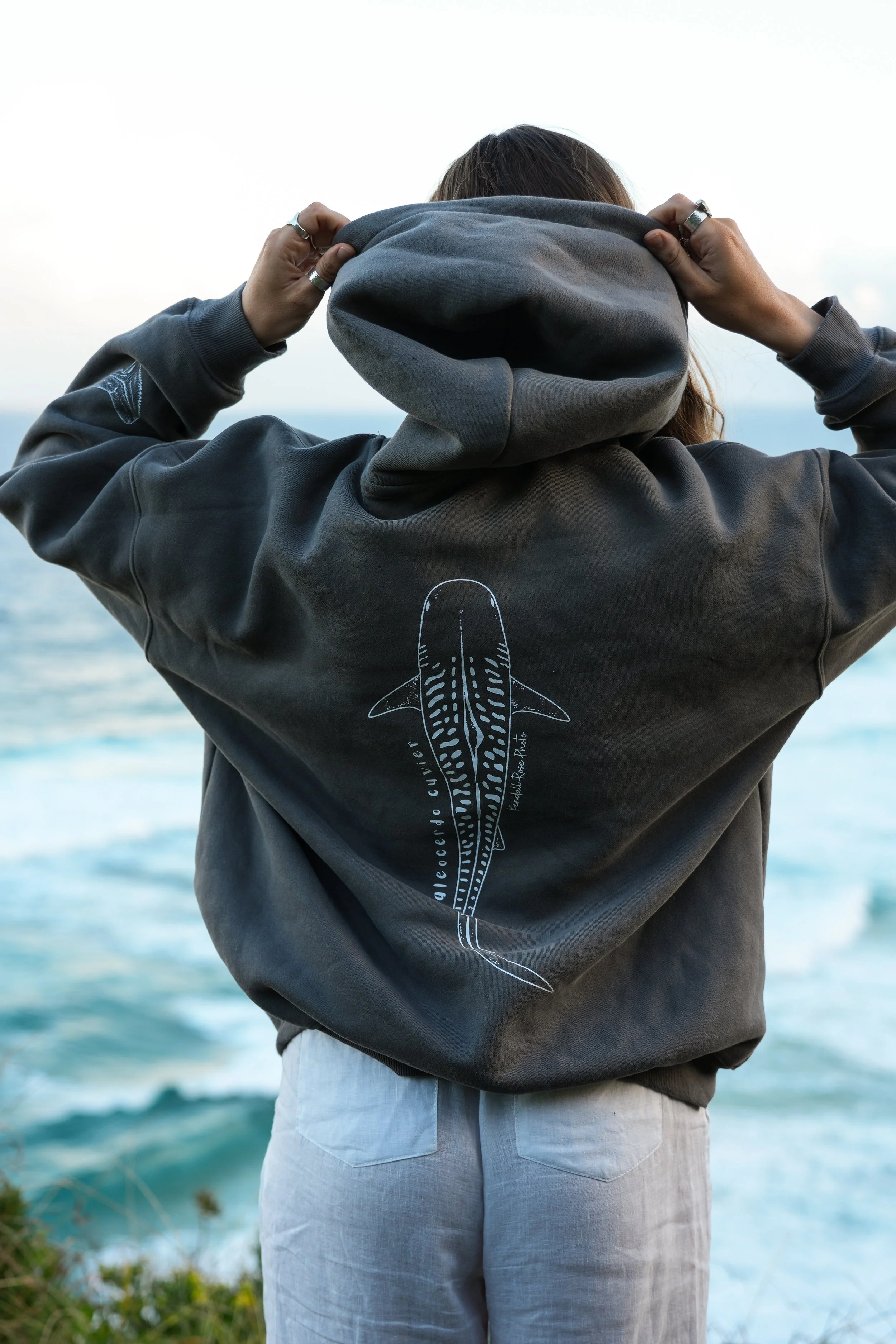 APEX Hoodie - Galeocerdo cuvier 🦈