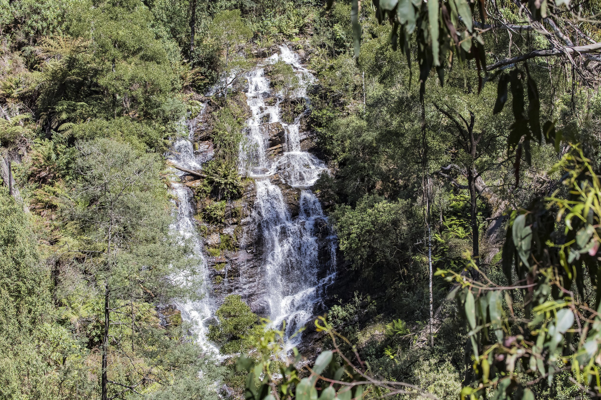 Wombelano Falls #1 - VIC