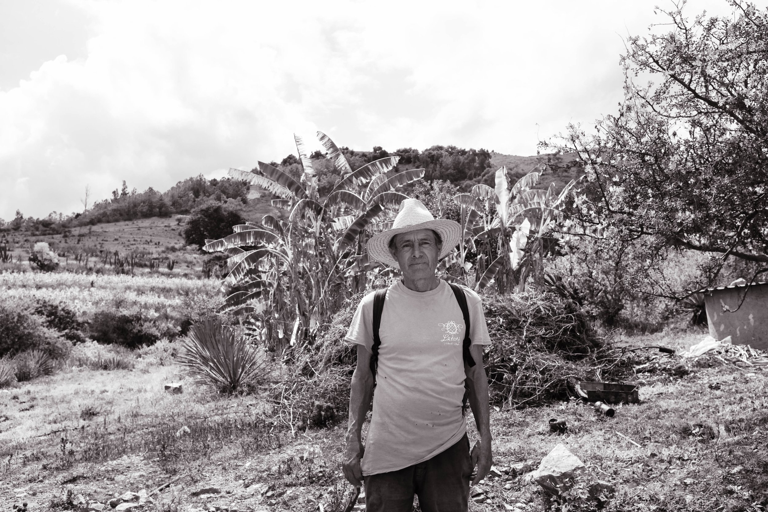 Santa Catarina de Minas, Oaxaca