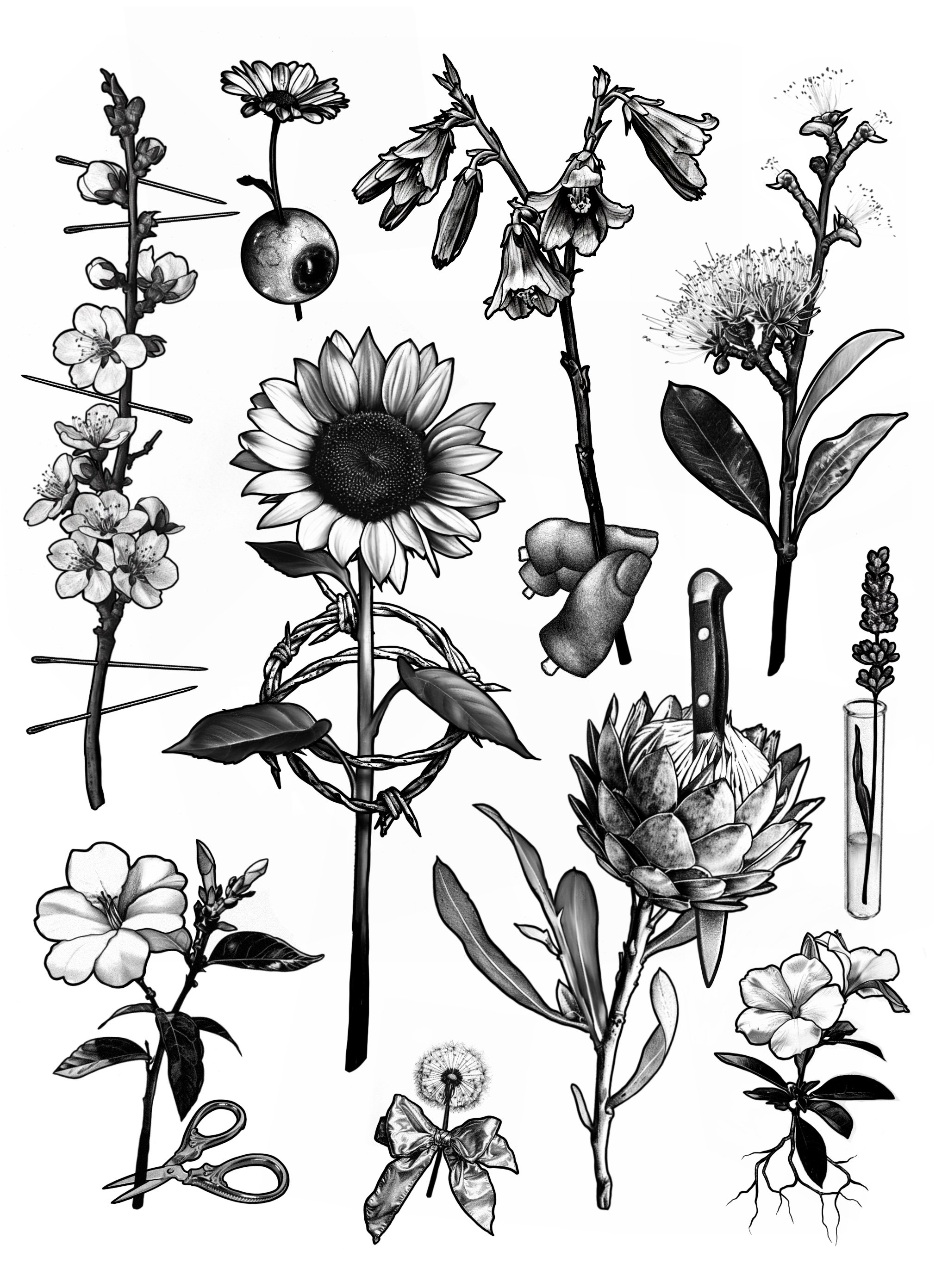 Strange Botanicals