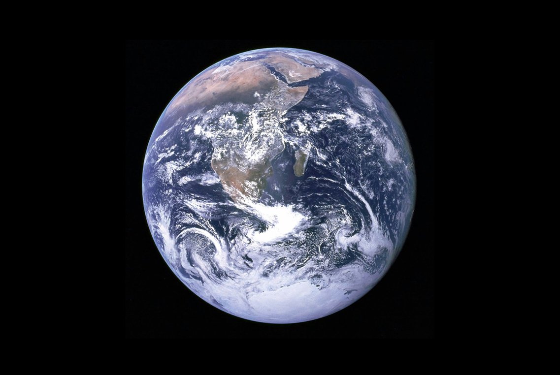 What is our Purpose in the Circle of Life?