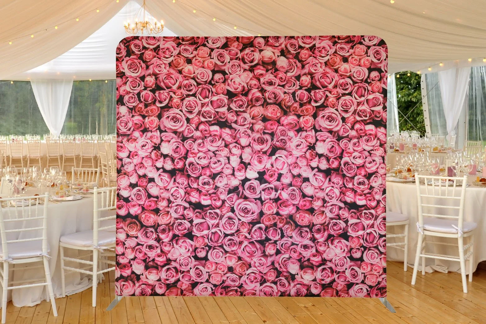 Pink Roses.jpg