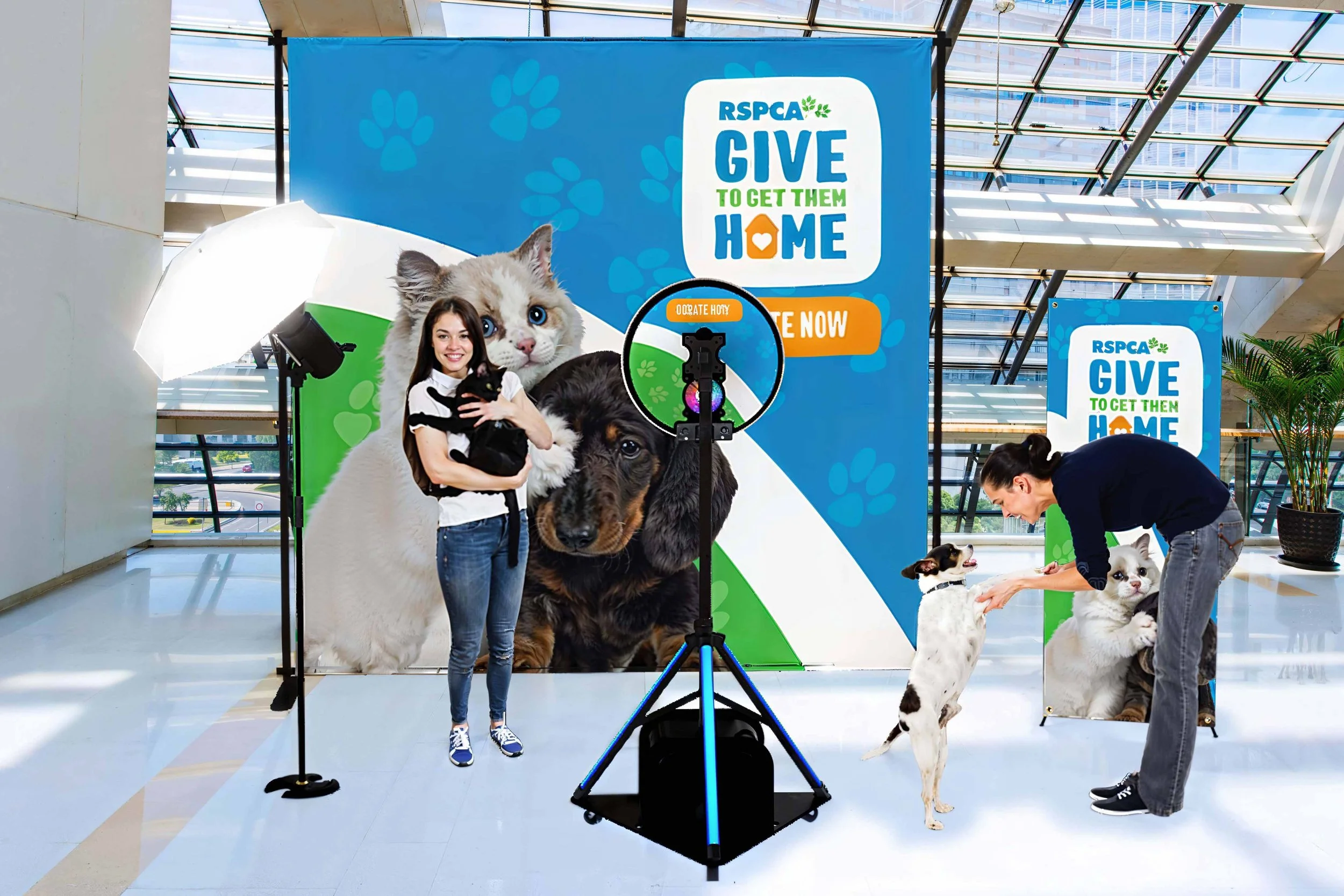 Professional indoor photo booth setup for a Darwin RSPCA pet adoption event, featuring custom animal banners and studio lighting for high-quality pet photography.