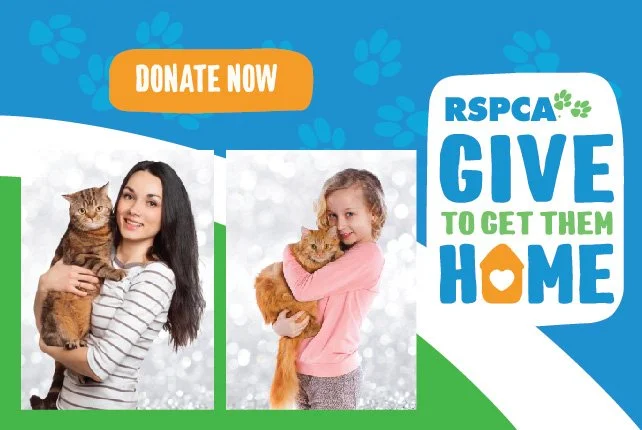 Ausome Love Studio promotional banner for RSPCA 'Give to Get Them Home' campaign featuring a woman and child holding cats with 'Donate Now' text.