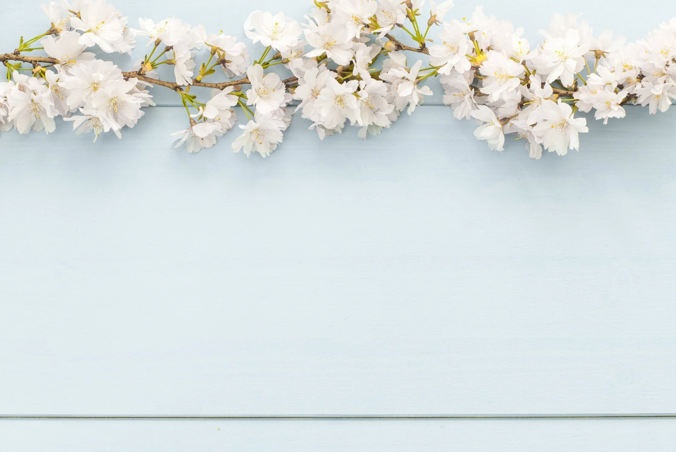 floral background.jpg