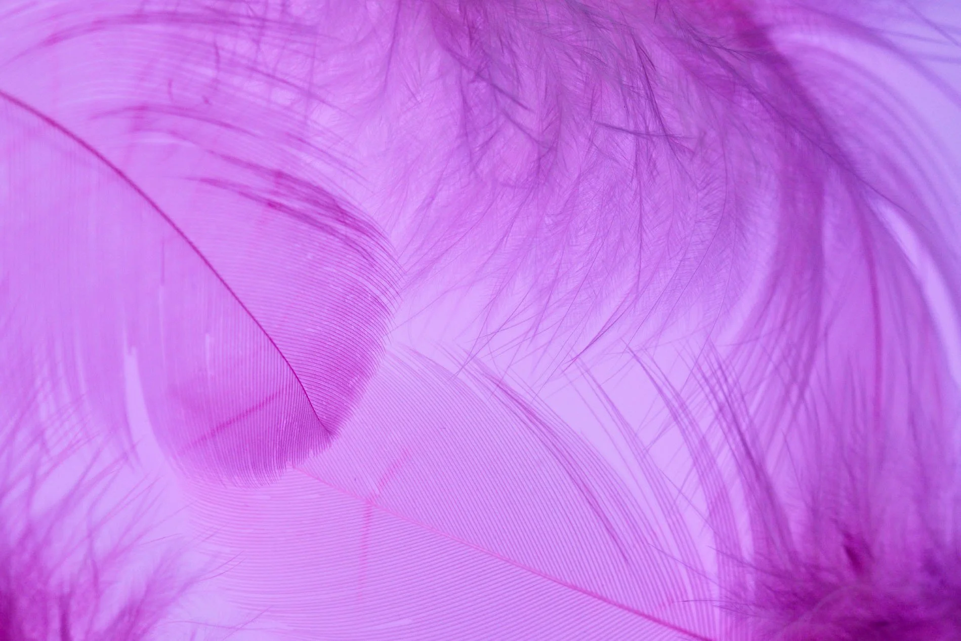 purple textil.jpg