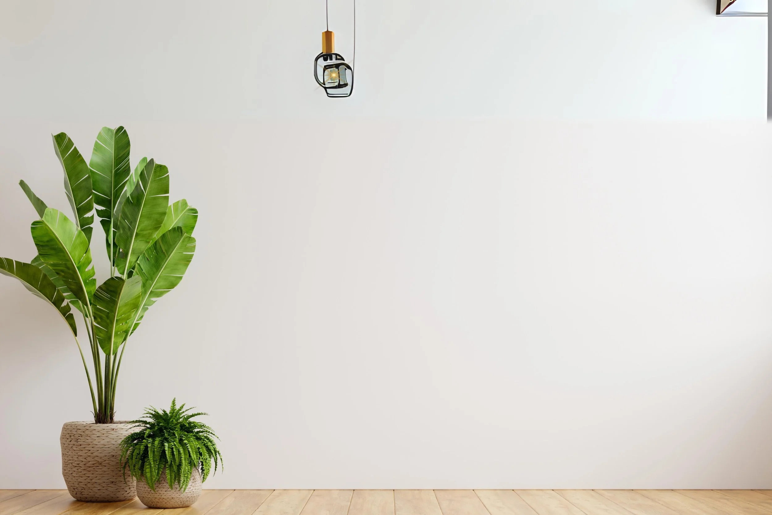 white wall.jpg