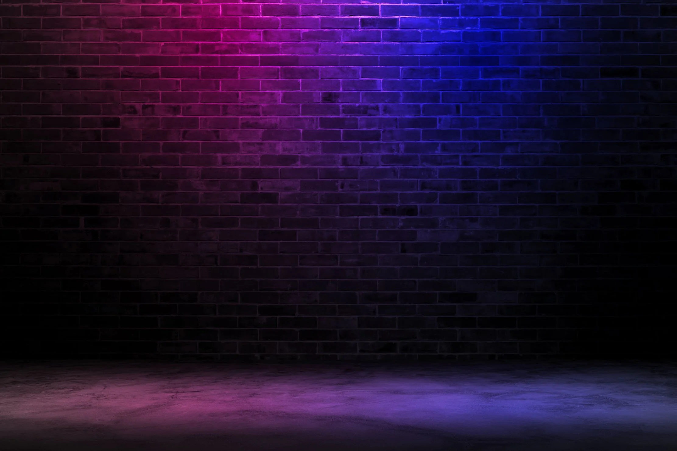 wall blue and fucsia.jpg